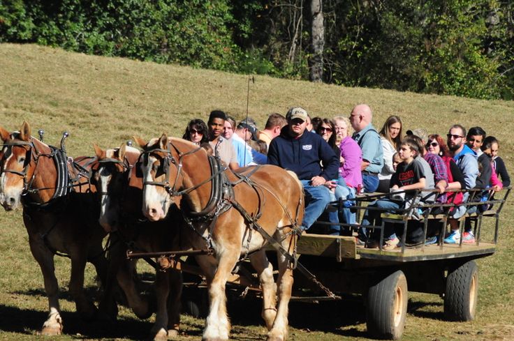 hayride